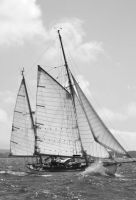 Maybird, the gaff rigged ketch. Photo: Den Phillips